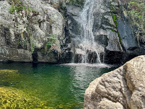 Salto de la moneda